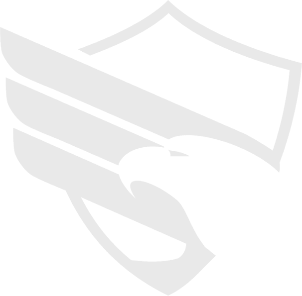 vid-background